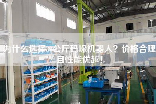 為什么選擇30公斤碼垛機(jī)器人？價(jià)格合理且性能優(yōu)越！