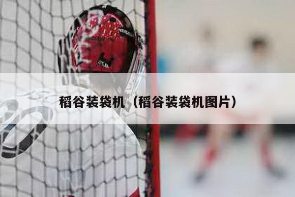 稻谷裝袋機(稻谷裝袋機圖片)