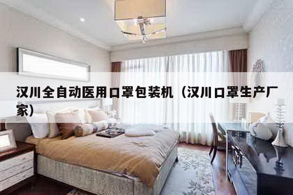 漢川全自動醫用口罩包裝機(漢川口罩生產廠家)