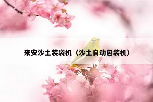 來安沙土裝袋機(jī)(沙土自動(dòng)包裝機(jī))