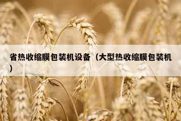 省熱收縮膜包裝機設(shè)備(大型熱收縮膜包裝機)