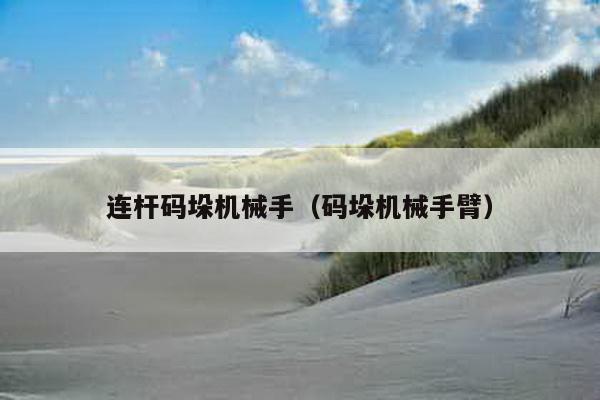 連桿碼垛機械手(碼垛機械手臂)