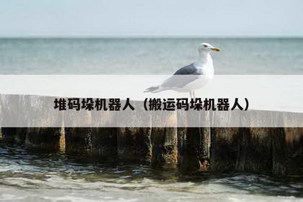 堆碼垛機器人(搬運碼垛機器人)