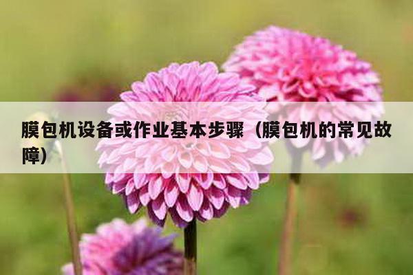 膜包機(jī)設(shè)備或作業(yè)基本步驟(膜包機(jī)的常見故障)
