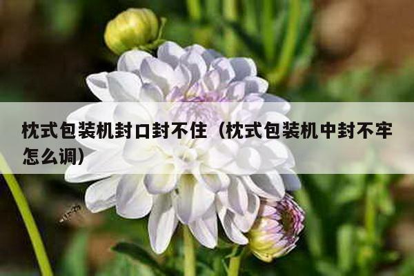 枕式包裝機封口封不住(枕式包裝機中封不牢怎么調)