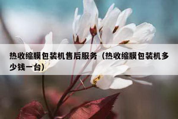 熱收縮膜包裝機售后服務(熱收縮膜包裝機多少錢一臺)
