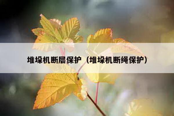 堆垛機(jī)斷層保護(hù)(堆垛機(jī)斷繩保護(hù))