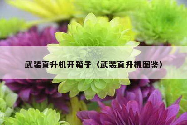 武裝直升機開箱子(武裝直升機圖鑒)