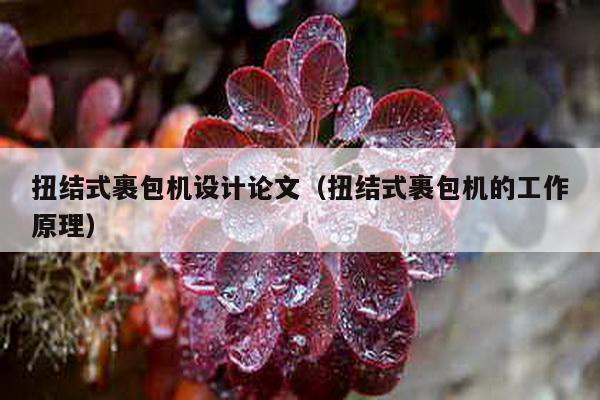 扭結式裹包機設計論文(扭結式裹包機的工作原理)