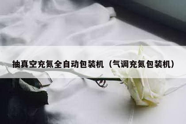 抽真空充氮全自動(dòng)包裝機(jī)(氣調(diào)充氮包裝機(jī))
