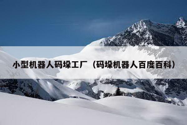 小型機(jī)器人碼垛工廠(碼垛機(jī)器人百度百科)