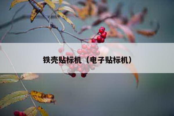 鐵殼貼標機(電子貼標機)