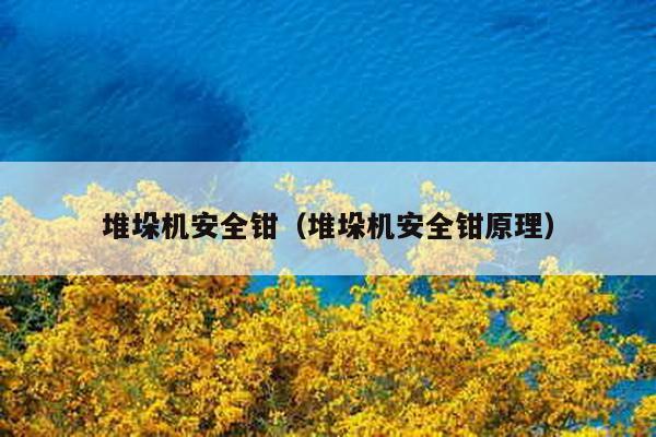 堆垛機安全鉗(堆垛機安全鉗原理)