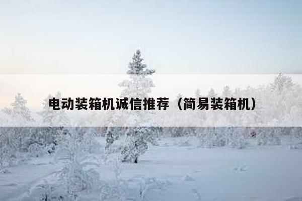 電動裝箱機誠信推薦(簡易裝箱機)