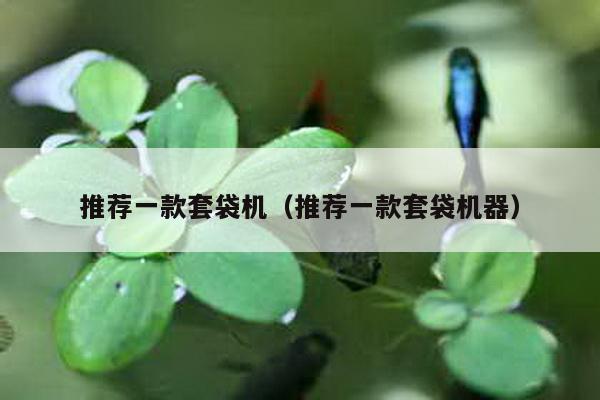 推薦一款套袋機(推薦一款套袋機器)