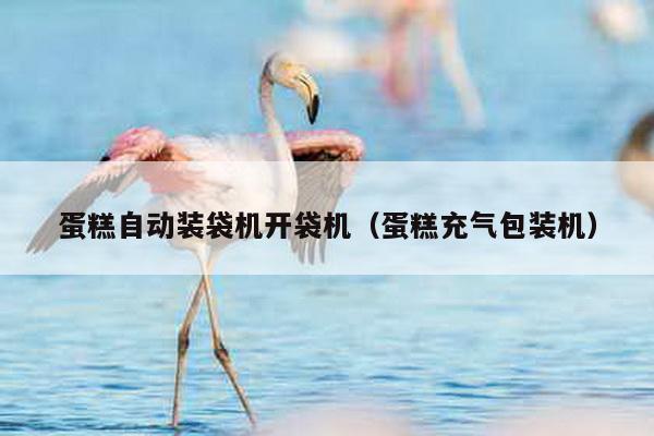 蛋糕自動裝袋機開袋機(蛋糕充氣包裝機)
