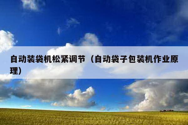 自動裝袋機松緊調節(自動袋子包裝機作業原理)