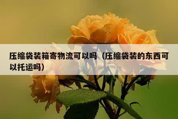 壓縮袋裝箱寄物流可以嗎(壓縮袋裝的東西可以托運嗎)