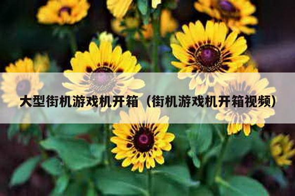 大型街機游戲機開箱(街機游戲機開箱視頻)