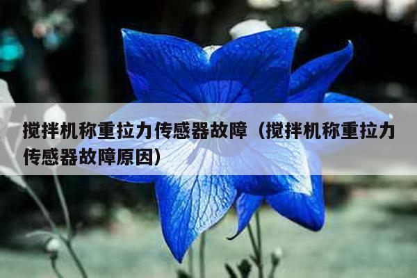 攪拌機(jī)稱重拉力傳感器故障(攪拌機(jī)稱重拉力傳感器故障原因)