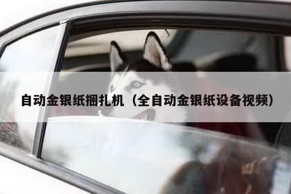 自動金銀紙捆扎機(全自動金銀紙設備視頻)