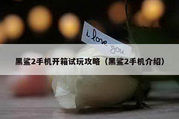 黑鯊2手機開箱試玩攻略(黑鯊2手機介紹)