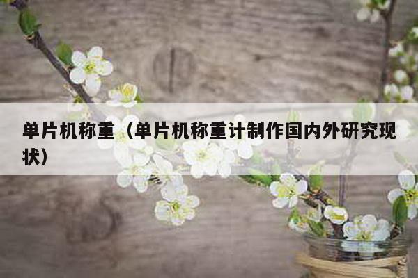 單片機稱重(單片機稱重計制作國內(nèi)外研究現(xiàn)狀)
