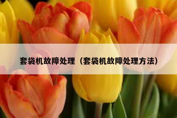 套袋機故障處理(套袋機故障處理方法)