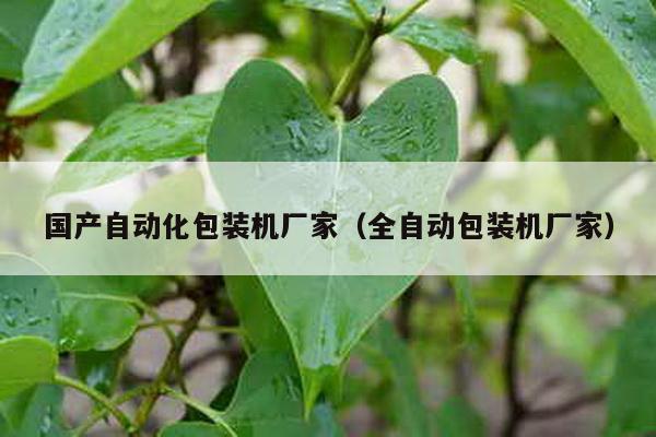 國(guó)產(chǎn)自動(dòng)化包裝機(jī)廠家(全自動(dòng)包裝機(jī)廠家)