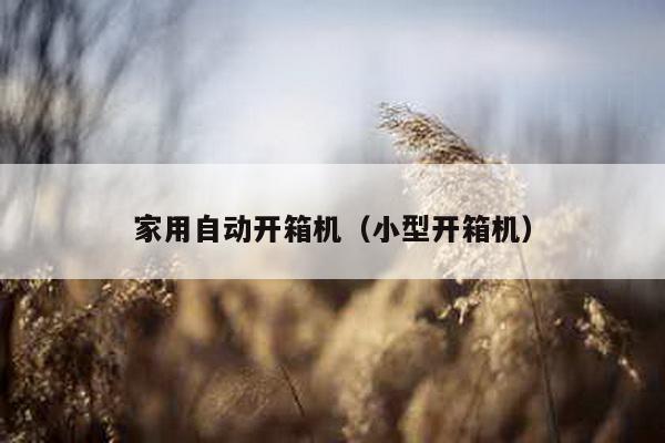 家用自動開箱機(小型開箱機)