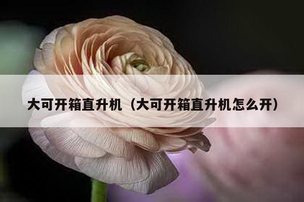 大可開箱直升機(大可開箱直升機怎么開)