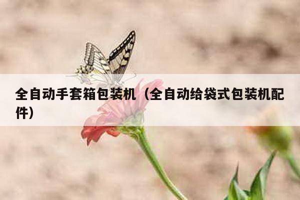 全自動手套箱包裝機(全自動給袋式包裝機配件)