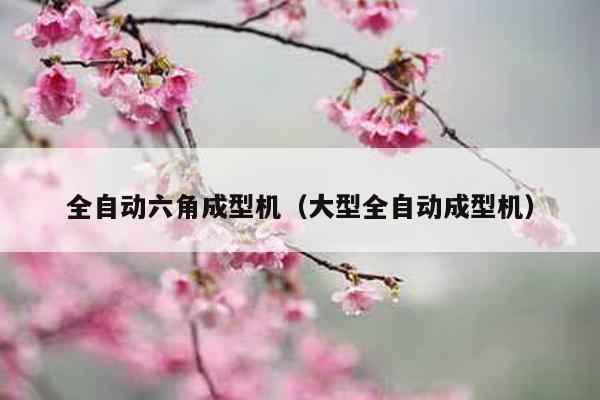 全自動六角成型機(大型全自動成型機)