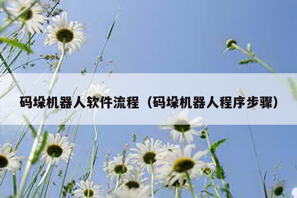 碼垛機器人軟件流程(碼垛機器人程序步驟)