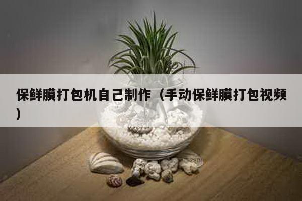 保鮮膜打包機自己制作(手動保鮮膜打包視頻)