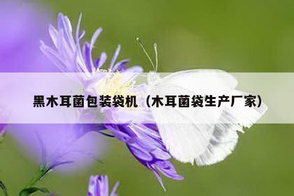 黑木耳菌包裝袋機(木耳菌袋生產廠家)