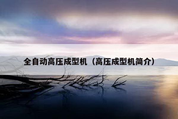 全自動(dòng)高壓成型機(jī)(高壓成型機(jī)簡介)