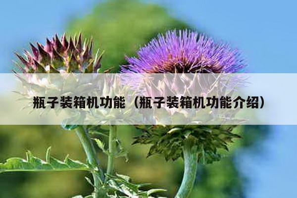 瓶子裝箱機功能(瓶子裝箱機功能介紹)
