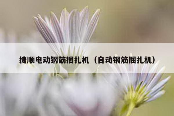 捷順電動鋼筋捆扎機(自動鋼筋捆扎機)