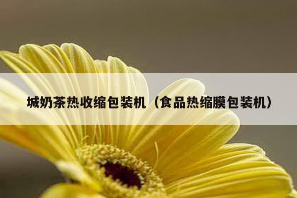 城奶茶熱收縮包裝機(食品熱縮膜包裝機)