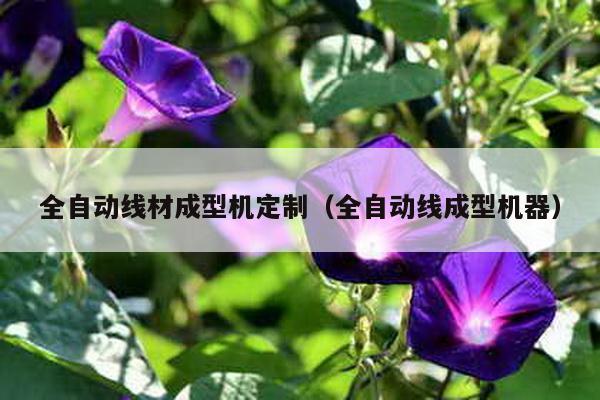 全自動線材成型機定制(全自動線成型機器)