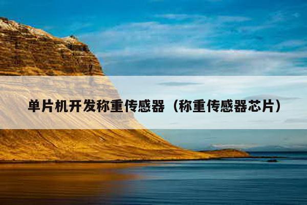 單片機開發稱重傳感器(稱重傳感器芯片)