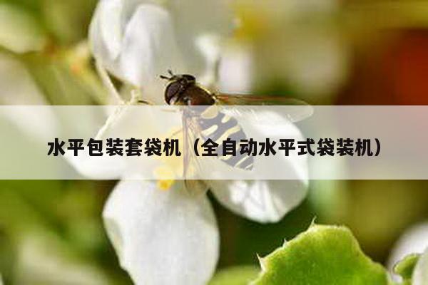 水平包裝套袋機(jī)(全自動(dòng)水平式袋裝機(jī))