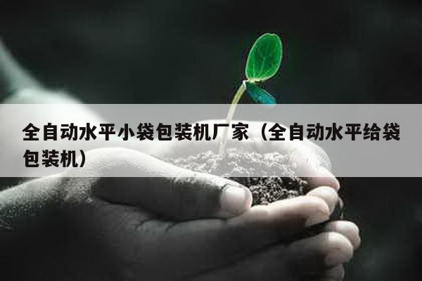 全自動水平小袋包裝機廠家(全自動水平給袋包裝機)