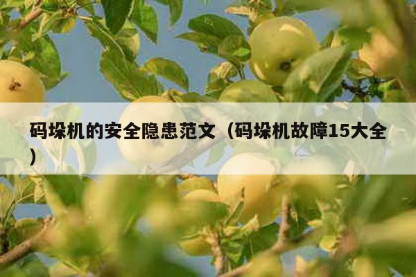 碼垛機的安全隱患范文(碼垛機故障15大全)