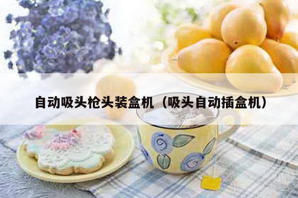 自動吸頭槍頭裝盒機(吸頭自動插盒機)