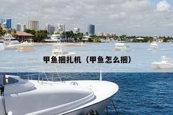 甲魚捆扎機(甲魚怎么捆)