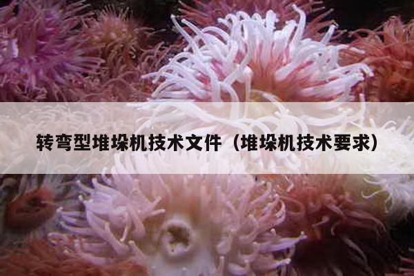 轉彎型堆垛機技術文件(堆垛機技術要求)