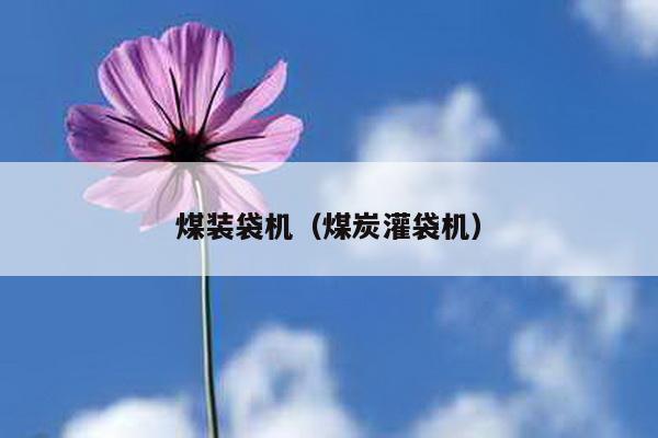 煤裝袋機(煤炭灌袋機)