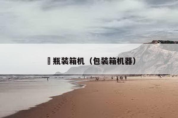氿瓶裝箱機(包裝箱機器)